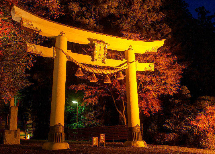 Nagatoro Autumn Leaf Festival (Chichibu, Saitama)