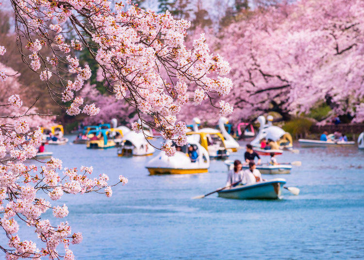 Kichijoji: "a Modern Yet Calm Oasis with a Lush Park"
