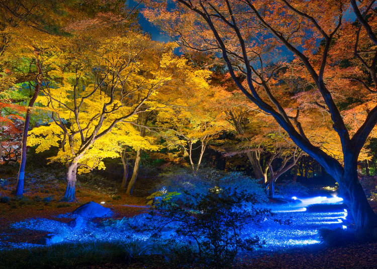 6. Autumn events are so much fun!