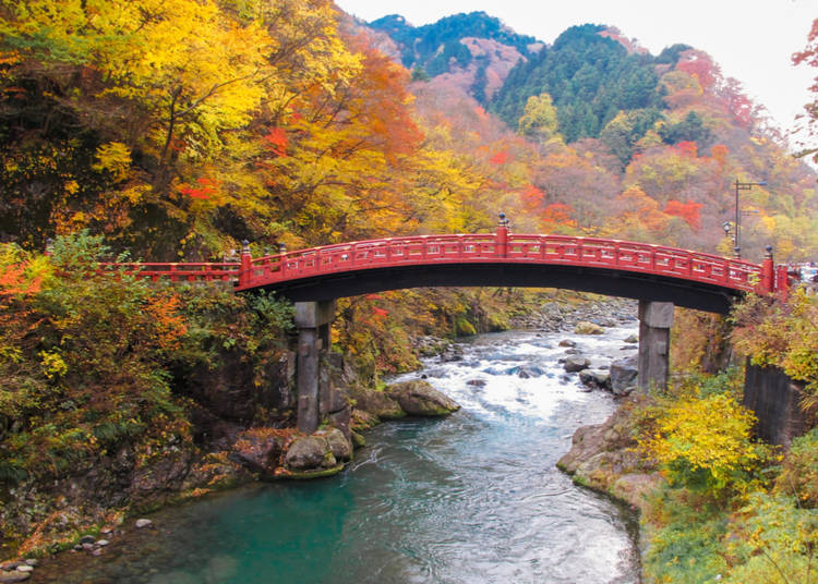 3. Autumn foliage is fantastic!