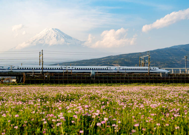 6. Travelling within Japan with kids