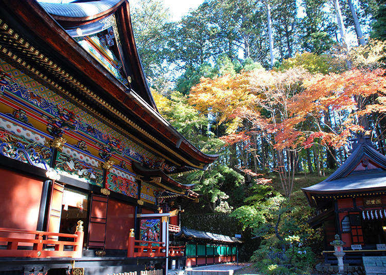 Discover Chichibu - Japan’s Photogenic Gourmet Town just a Short Trip from Tokyo!