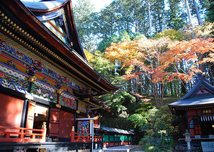 Target 3: Colorful Foliage Complemented by Vibrant Historic Landmarks