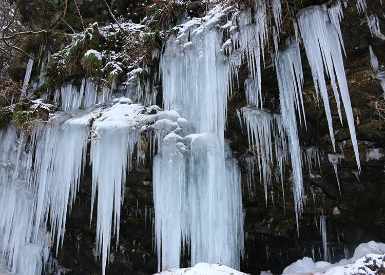 Target 1: The Magic of Winter in Icicles that Transfigure by the Hour