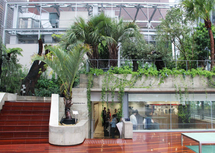 地面上有植物獵人所打造的公園及東京超人氣的Toraya Cafe!