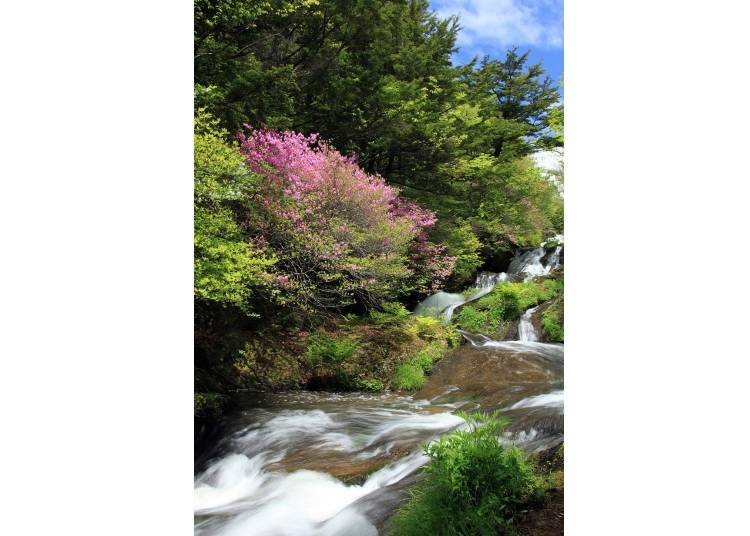 8. Ryuzu Waterfall - Tochigi Prefecture