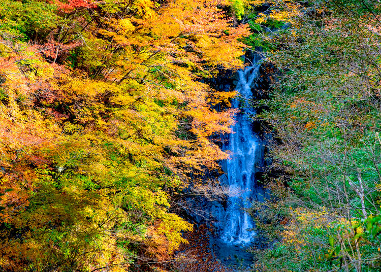 3. Nishizawa Gorge (Nanatsugama Godan no Taki) - Yamanashi Prefecture