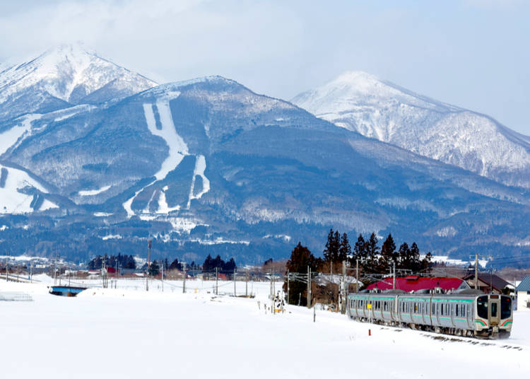 5. Enjoy a Trip that Includes Town and Country