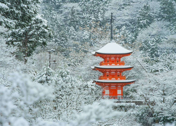 7. A Skiing Trip which is also a Cultural Trip!