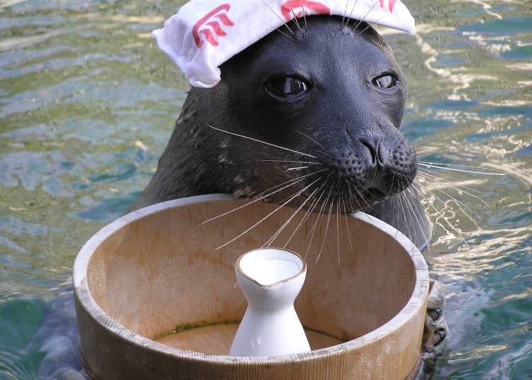 3. Hakone-en Aquarium (Kanagawa)