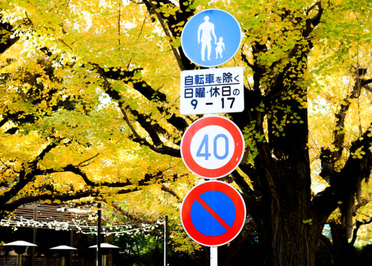 1. Familiarize yourself with the signs before you go