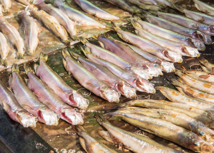 The Irresistible, Authentic Deliciousness of Seasonal Shishamo!