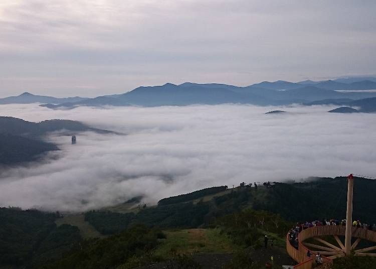 【占冠村】大自然の息吹を体感できる広大な森林に包まれた村