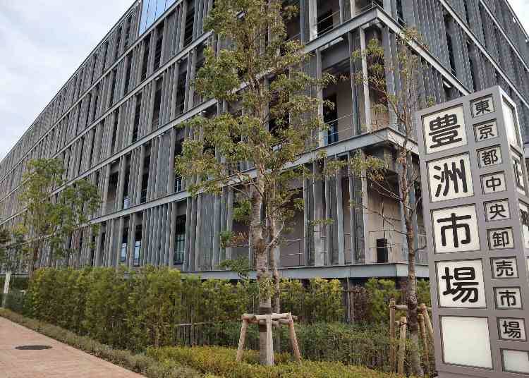 豊洲市場とは?