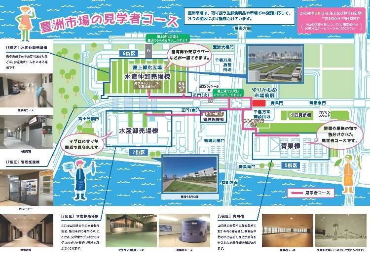 豊洲市場の見どころ&見学スポット