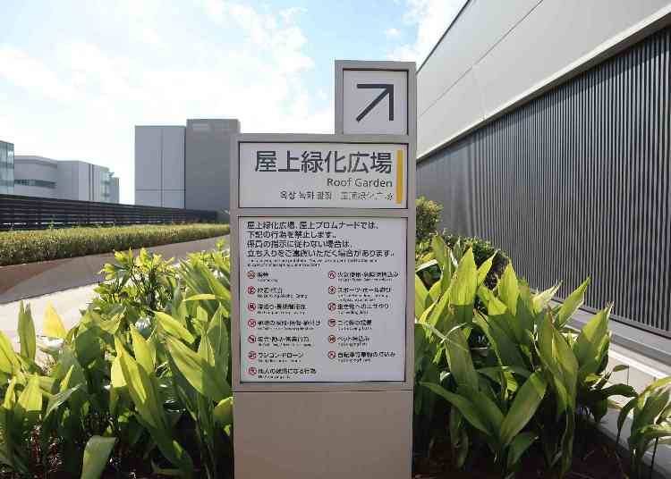 湾岸エリアの景色が楽しめる屋上緑化広場