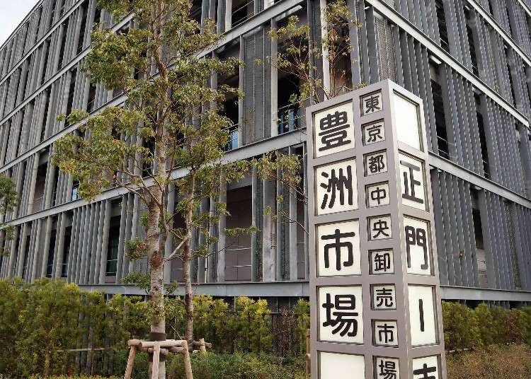【豊洲市場Q&A】行く前に知っておきたい!豊洲市場 徹底解剖