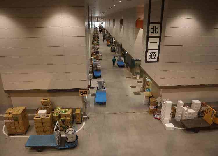 When is the Best Time to Visit Toyosu Market? Opening Hours, Holidays, Peak Times