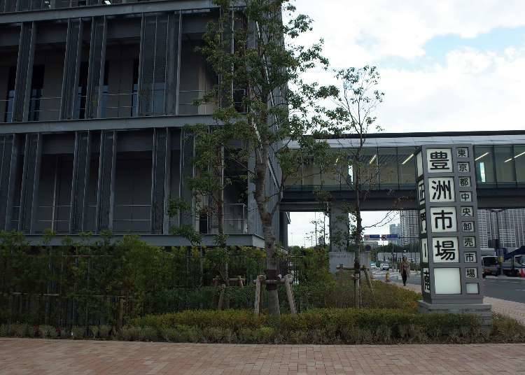 How is Toyosu Market Different from Tsukiji Market?