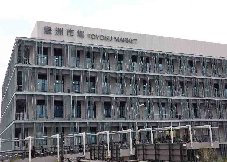 豊洲市場ってどんなところ? そもそもどのエリアを見学できる?