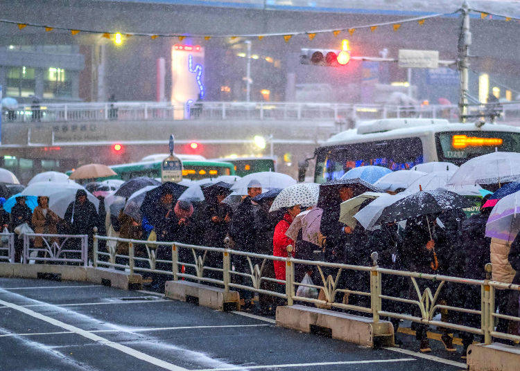 2) What kind of weather conditions must be met in order to see snow in Tokyo?
