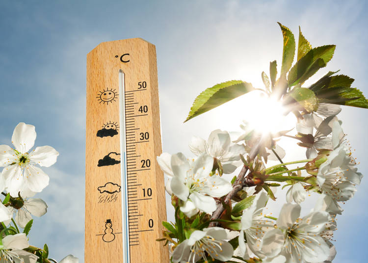 1. Spring Weather in Japan: Know before you go!