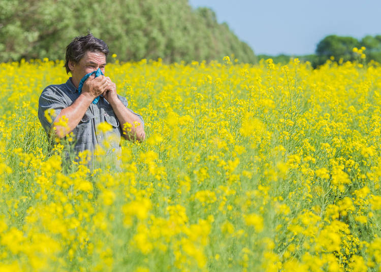 10. Have allergies? Prepare for Hay Fever Season!