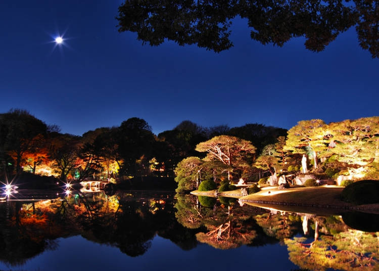 #21. 六義園 - Rikugien (111.7k Photos)