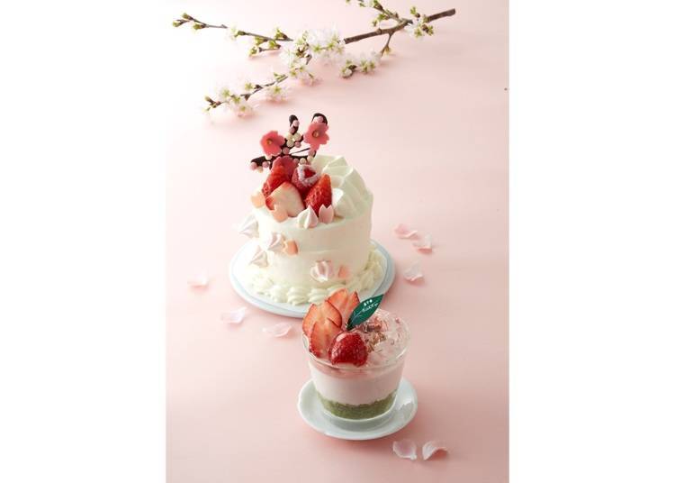 8. Patisserie Mon Cher: A Gorgeous Shortcake Topped with Chocolate Sakura Blossoms