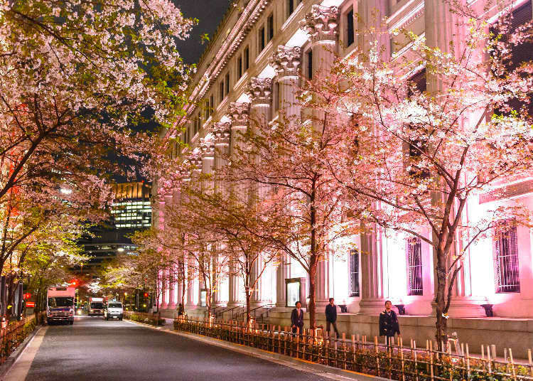 Savoring Spring At The Tokyo Nihonbashi Sakura Festival 2019 