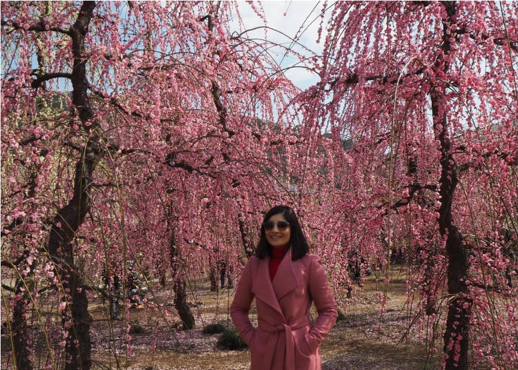 As the blossoms bloomed, I was awestruck and out of control taking photos