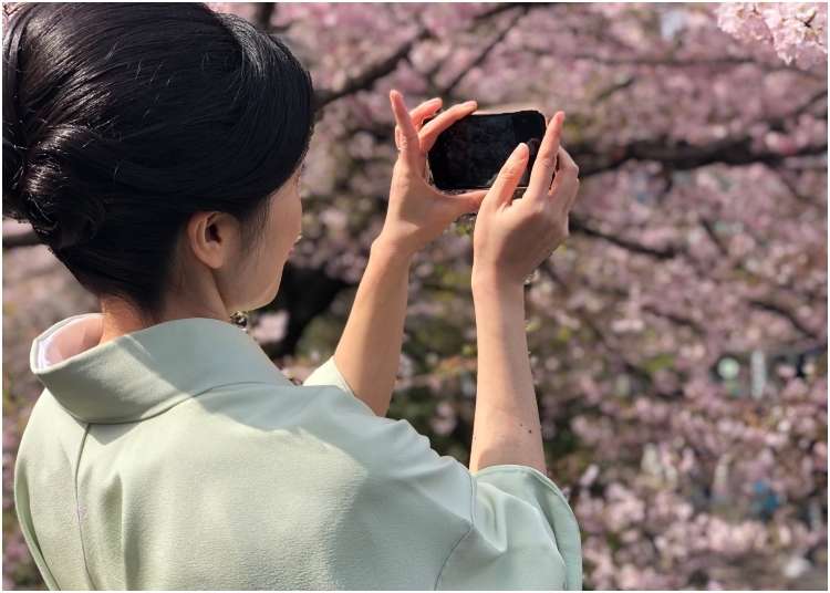 Tokyo's 2019 Cherry Blossom Festival Season in Photos!