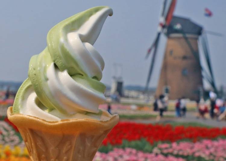 Taste the season - 'Saranka' Soft Cream!