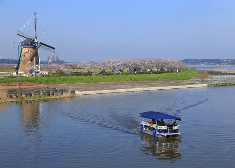 Enjoy a cruise around Lake Inba-numa!
