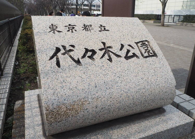 渋谷の癒しスポット!代々木公園