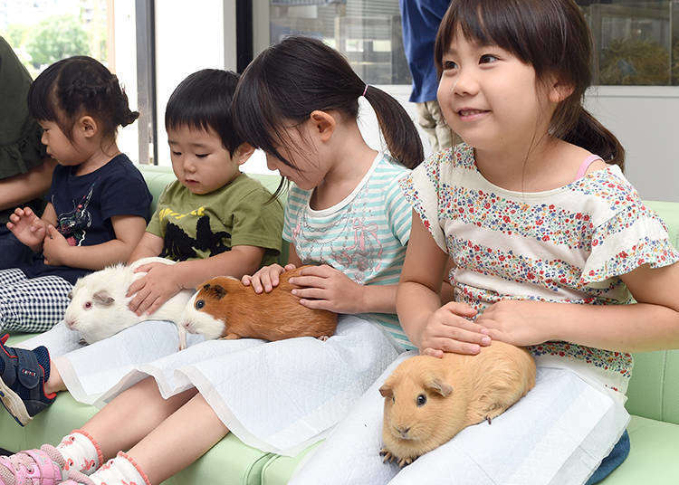 【上野動物園ガイド】大人気動物園の見どころ&グルメ・お土産・便利情報を紹介!