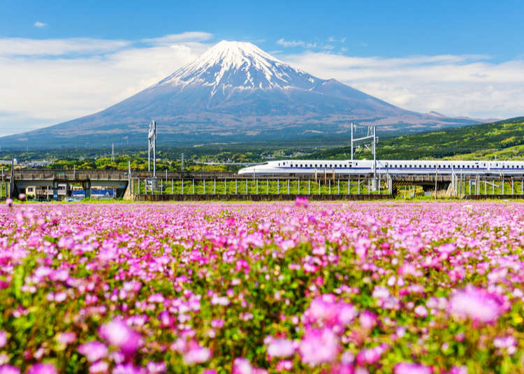 Top 10 things to Do in Japan May 2019! - LIVE JAPAN (Japanese travel