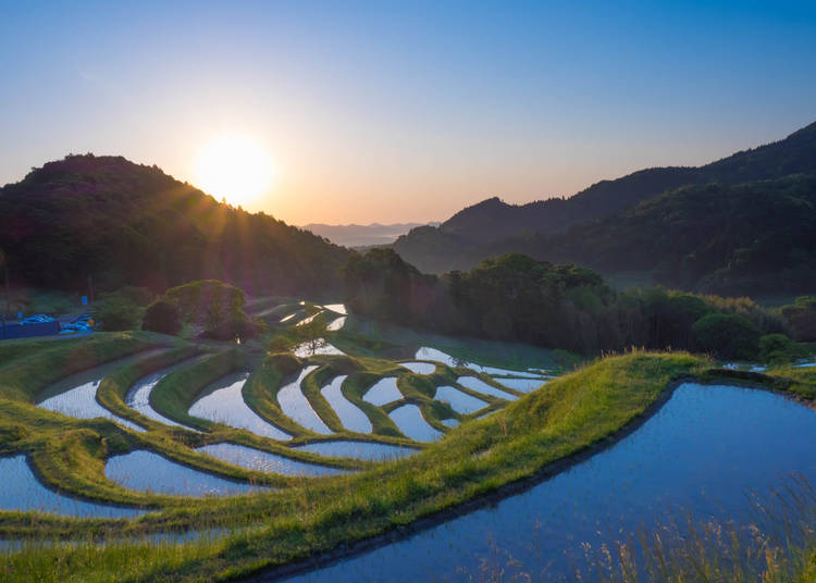 5. Visit the rice paddies