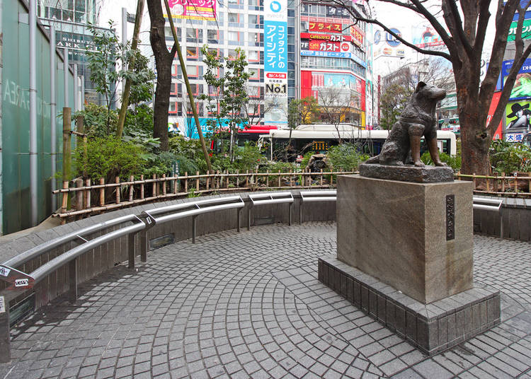 Things to Do in Shibuya