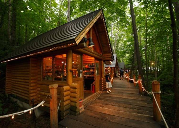 Ningle Terrace: Craft shops scattered throughout the forest