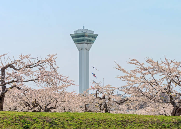 ■Day 2: Start the day with a visit to the morning market and then move on to Goryokaku!