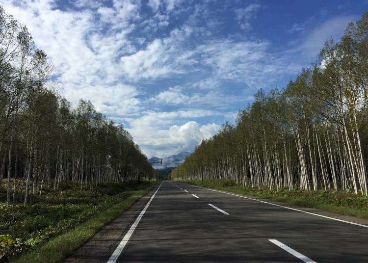 Advice and planning tips you want to know for your Hokkaido excursion: Rental cars