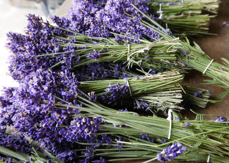 3. Farm Tomita for lavender goods