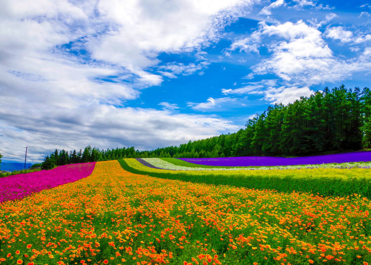 1. The temperature gets below -10 ℃ in Hokkaido in winter. It’s on the same latitude as Vladivostok in Russia and the Great Lakes in Canada!