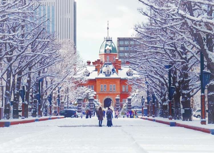 Breathtaking Hokkaido Views & More! 5 Must-Visit Spots in Sapporo