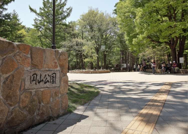 北海道觀光新景點!札幌圓山裡自然公園、動物園、神社三種熱門景點一次滿足