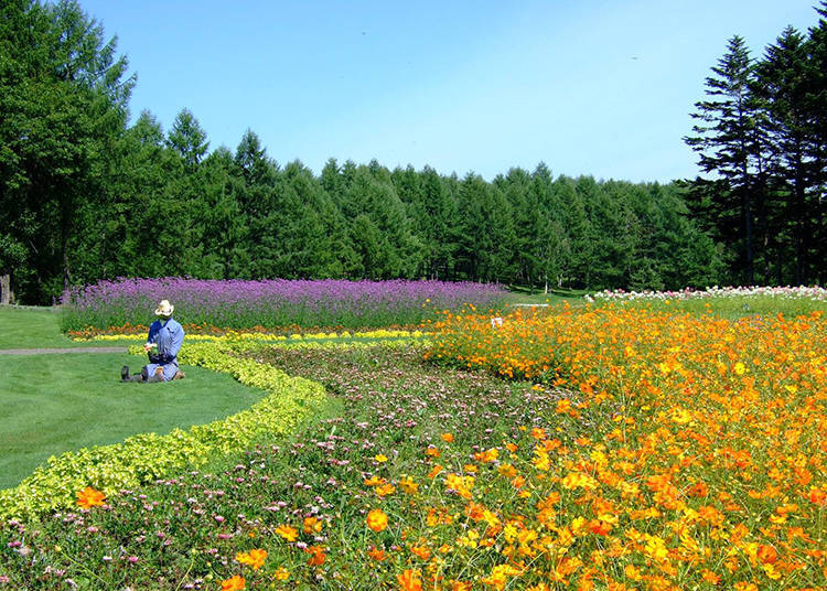 4. Garden, café, activities… Freely enjoy the use of the picnic garden!