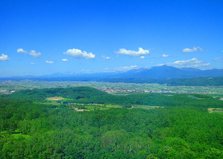 魅力1)夏は十勝岳側、冬は北の嶺側が狙い目!客室から望むパノラマが素晴らしい