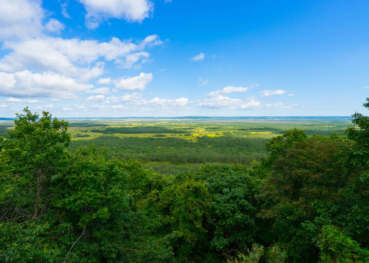 1. How large is Kushiro Marsh?