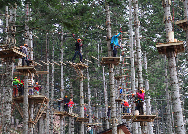 Not Only Winter! Fun Summer Activities in Niseko